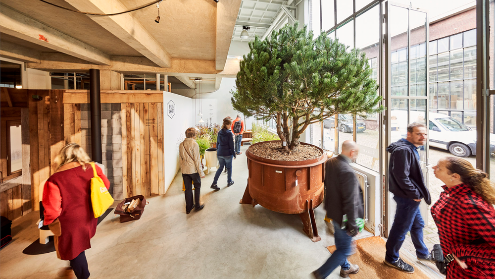 Dutch Design Week 2019